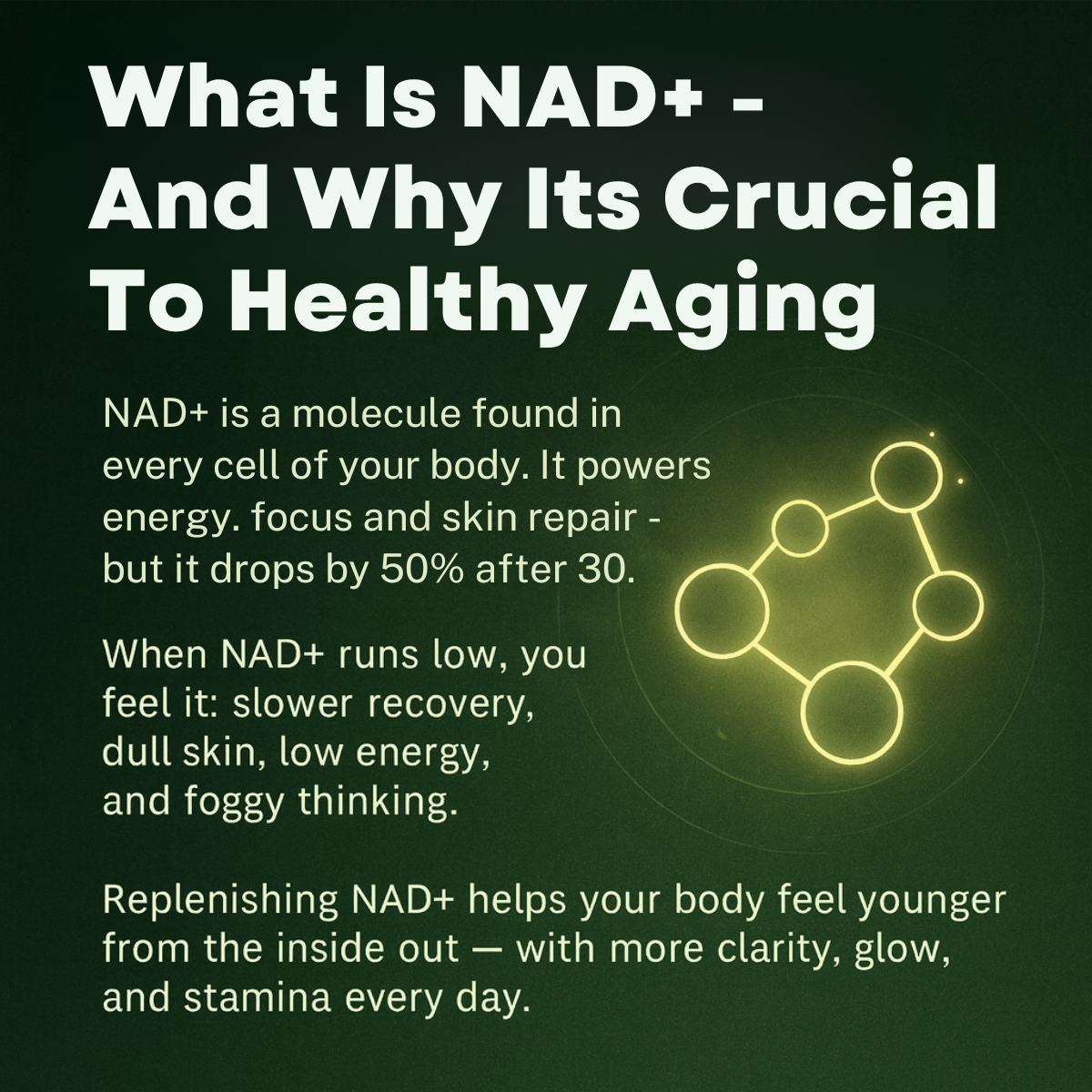 Olara™ Nicotinamide Riboside + Resveratrol